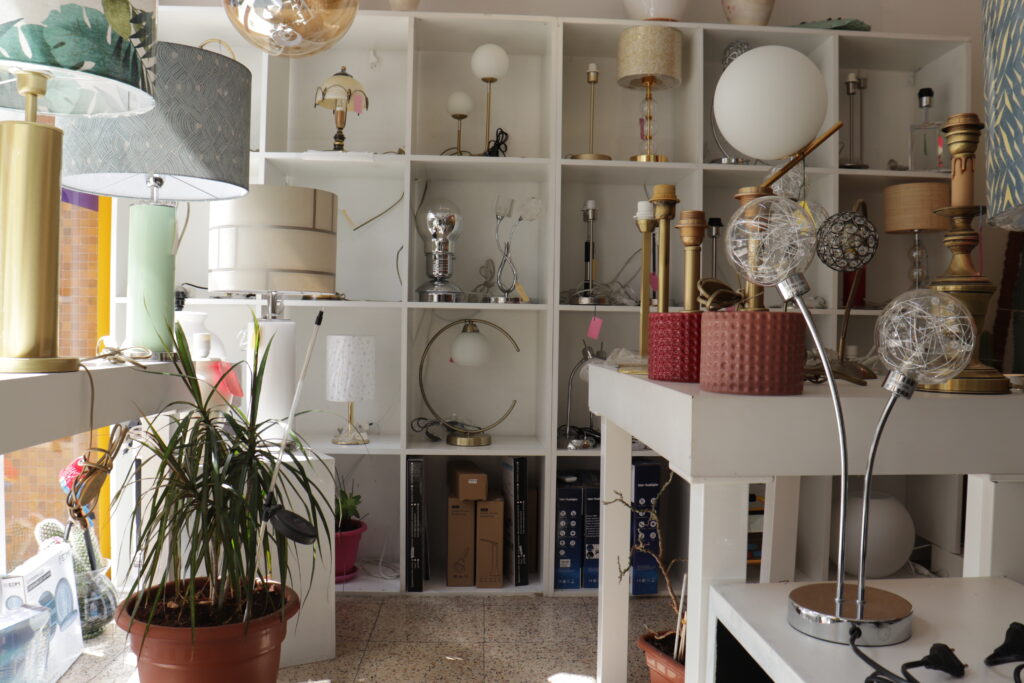 IMG 1954 1 1024x683
