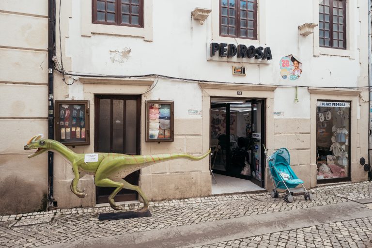 Copy of Pedrosa Louca1 768x512